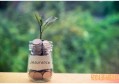团体意外险的赔偿范围包括哪些 大概要缴多少费用