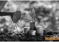 保险年交与趸交存在什么区别 主要区别如下